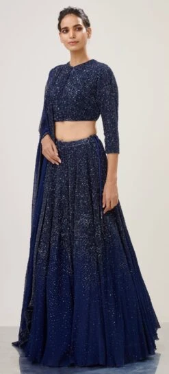 Navy Chiffon Lehenga Set With Sequins
