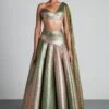 Olive Pista Gold Handwoven Ombre Lehenga Set -Africans Shop 1 71052