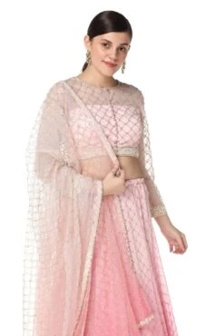 Shaded Pink Nadia Lehenga Set -Africans Shop 3 15486