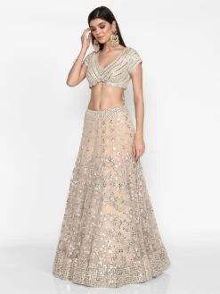 Blush Lehenga Set With Hand Mirror Embroidery -Africans Shop 3 15817