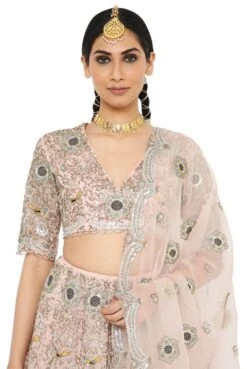 Imaar Rose Pink Colour Embroidered Organza Choli And Lehenga With Dupatta -Africans Shop 4 33614