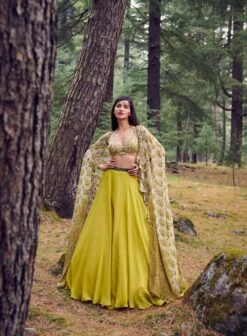 Green Sweet Meadow Chiffon Lehenga Set