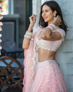 Blush Lehenga Set With Hand Mirror Embroidery -Africans Shop am ss20 le 4182