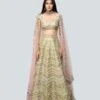 Lime Green Tissue Lehenga Set -Africans Shop arttlgmwbls1
