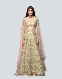 Lime Green Tissue Lehenga Set