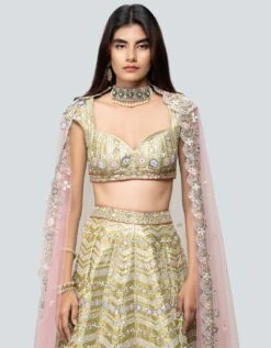 Lime Green Tissue Lehenga Set -Africans Shop arttlgmwbls3