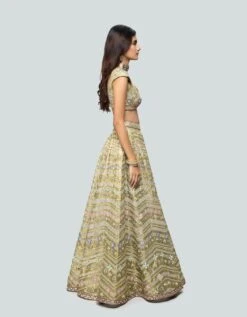 Lime Green Tissue Lehenga Set -Africans Shop arttlgmwbls4