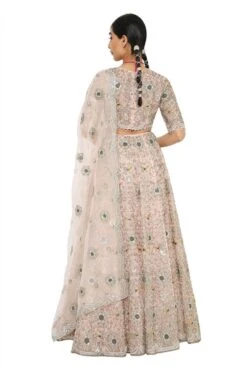 Imaar Rose Pink Colour Embroidered Organza Choli And Lehenga With Dupatta -Africans Shop b 76252