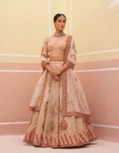 Peach Organza Lehenga Set 10 Peach Organza Lehenga Set -Africans Shop bm0442