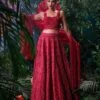 Red Tonal Cutwork Lehenga -Africans Shop cfw23l341