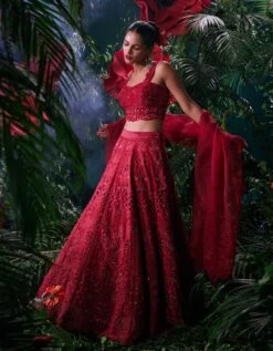 Red Tonal Cutwork Lehenga -Africans Shop cfw23l342