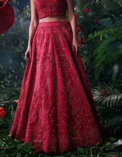 Red Tonal Cutwork Lehenga -Africans Shop cfw23l343
