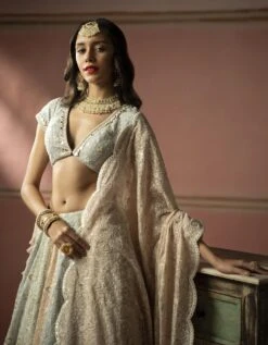 V Neck Georgette Chikankari Blouse With Mirrorwork Edges -Africans Shop ct1050ck2