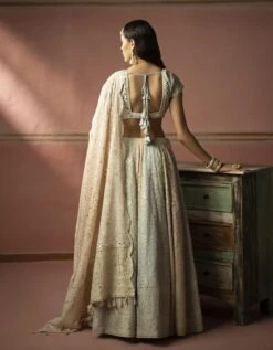 V Neck Georgette Chikankari Blouse With Mirrorwork Edges -Africans Shop ct1050ckb