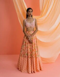 Peach Panelled Skirt With An Embroidered Blouse And Dupatta