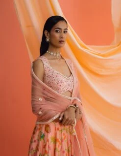 Peach Panelled Skirt With An Embroidered Blouse And Dupatta 10 Peach Panelled Skirt With An Embroidered Blouse And Dupatta -Africans Shop dzme054