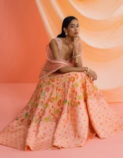 Peach Panelled Skirt With An Embroidered Blouse And Dupatta 11 Peach Panelled Skirt With An Embroidered Blouse And Dupatta -Africans Shop dzme05b