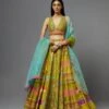 Lime Green Lehenga Set