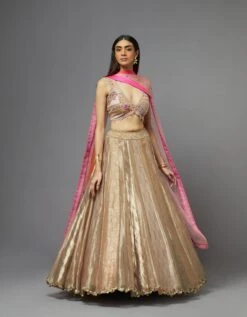 Metal Lehenga Set -Africans Shop lehenga54blouse100dupatta2