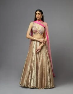 Metal Lehenga Set -Africans Shop lehenga54blouse100dupatta3