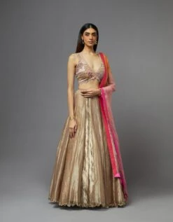 Metal Lehenga Set -Africans Shop lehenga54blouse100dupatta4