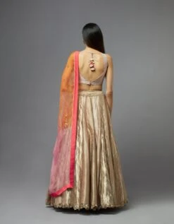 Metal Lehenga Set -Africans Shop lehenga54blouse100dupattab