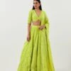 Lime Green Lines And Floral Embroidered Lehanga Paired With Full Sleeve Lines Embroidered Blouse And Art Deco Dupatta -Africans Shop mfnf007ls1