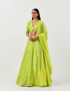 Lime Green Lines And Floral Embroidered Lehanga Paired With Full Sleeve Lines Embroidered Blouse And Art Deco Dupatta 9 Lime Green Lines And Floral Embroidered Lehanga Paired With Full Sleeve Lines Embroidered Blouse And Art Deco Dupatta -Africans Shop mfnf007ls2