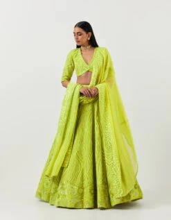 Lime Green Lines And Floral Embroidered Lehanga Paired With Full Sleeve Lines Embroidered Blouse And Art Deco Dupatta 10 Lime Green Lines And Floral Embroidered Lehanga Paired With Full Sleeve Lines Embroidered Blouse And Art Deco Dupatta -Africans Shop mfnf007ls3