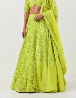 Lime Green Lines And Floral Embroidered Lehanga Paired With Full Sleeve Lines Embroidered Blouse And Art Deco Dupatta 11 Lime Green Lines And Floral Embroidered Lehanga Paired With Full Sleeve Lines Embroidered Blouse And Art Deco Dupatta -Africans Shop mfnf007ls4