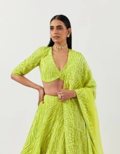 Lime Green Lines And Floral Embroidered Lehanga Paired With Full Sleeve Lines Embroidered Blouse And Art Deco Dupatta 12 Lime Green Lines And Floral Embroidered Lehanga Paired With Full Sleeve Lines Embroidered Blouse And Art Deco Dupatta -Africans Shop mfnf007ls5