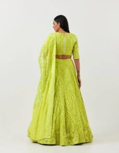 Lime Green Lines And Floral Embroidered Lehanga Paired With Full Sleeve Lines Embroidered Blouse And Art Deco Dupatta 13 Lime Green Lines And Floral Embroidered Lehanga Paired With Full Sleeve Lines Embroidered Blouse And Art Deco Dupatta -Africans Shop mfnf007lsb