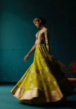 Lime Lehenga Set With Gota And Marori Work -Africans Shop nt2411b