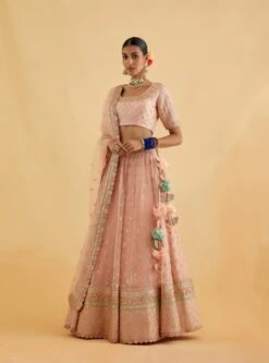Salmon Gota And Marori Lehenga Set