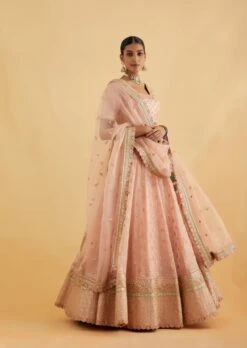 Salmon Gota And Marori Lehenga Set -Africans Shop nt24163