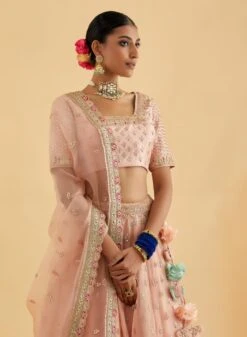 Salmon Gota And Marori Lehenga Set -Africans Shop nt24164