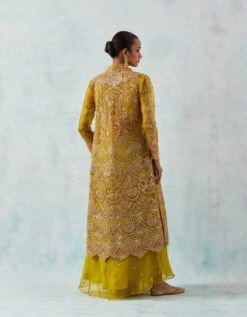 Citrine Jacket And Palazzo Set -Africans Shop nts129citrineb