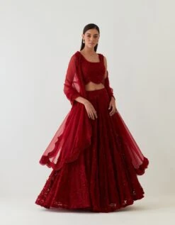 Red 3D Floral Embellished Lehenga Set
