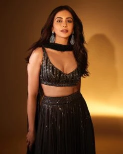 Grey To Black Ombre Lehenga Set -Africans Shop sawan 132