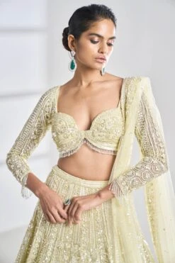 Lime Sequin Lehenga Set -Africans Shop sc22564