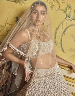 Nude Pearl Drop Lehenga Set 9 Nude Pearl Drop Lehenga Set -Africans Shop sc2349b