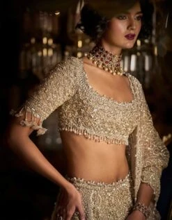 Champagne Pearl Lehenga Set -Africans Shop sc23679