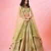 Olive Green Multi Shaded Zari Dori Embroidered Raw Silk And Brocade Lehenga Set -Africans Shop snp42631