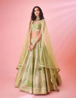 Olive Green Multi Shaded Zari Dori Embroidered Raw Silk And Brocade Lehenga Set 11 Olive Green Multi Shaded Zari Dori Embroidered Raw Silk And Brocade Lehenga Set -Africans Shop snp42633