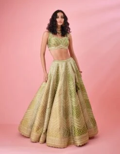 Olive Green Multi Shaded Zari Dori Embroidered Raw Silk And Brocade Lehenga Set 13 Olive Green Multi Shaded Zari Dori Embroidered Raw Silk And Brocade Lehenga Set -Africans Shop snp42635