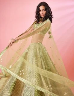 Olive Green Multi Shaded Zari Dori Embroidered Raw Silk And Brocade Lehenga Set 14 Olive Green Multi Shaded Zari Dori Embroidered Raw Silk And Brocade Lehenga Set -Africans Shop snp42636