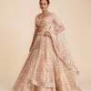 Peach Tulle Lehenga Set With Blue, Pink And Peach Embroidery -Africans Shop tpkog051 2