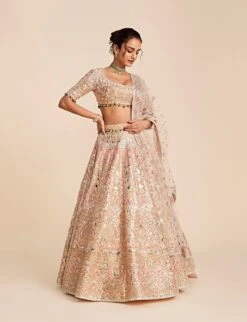 Peach Tulle Lehenga Set With Blue, Pink And Peach Embroidery -Africans Shop tpkog053