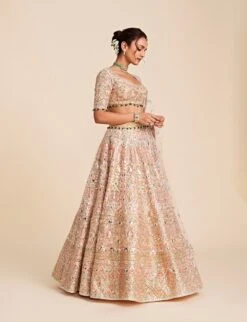Peach Tulle Lehenga Set With Blue, Pink And Peach Embroidery -Africans Shop tpkog054