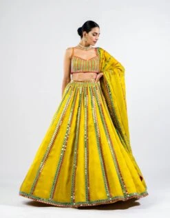 Moss Green Mirror Seam Lehenga Set